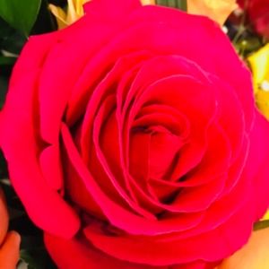 Meet your Posher, Emely